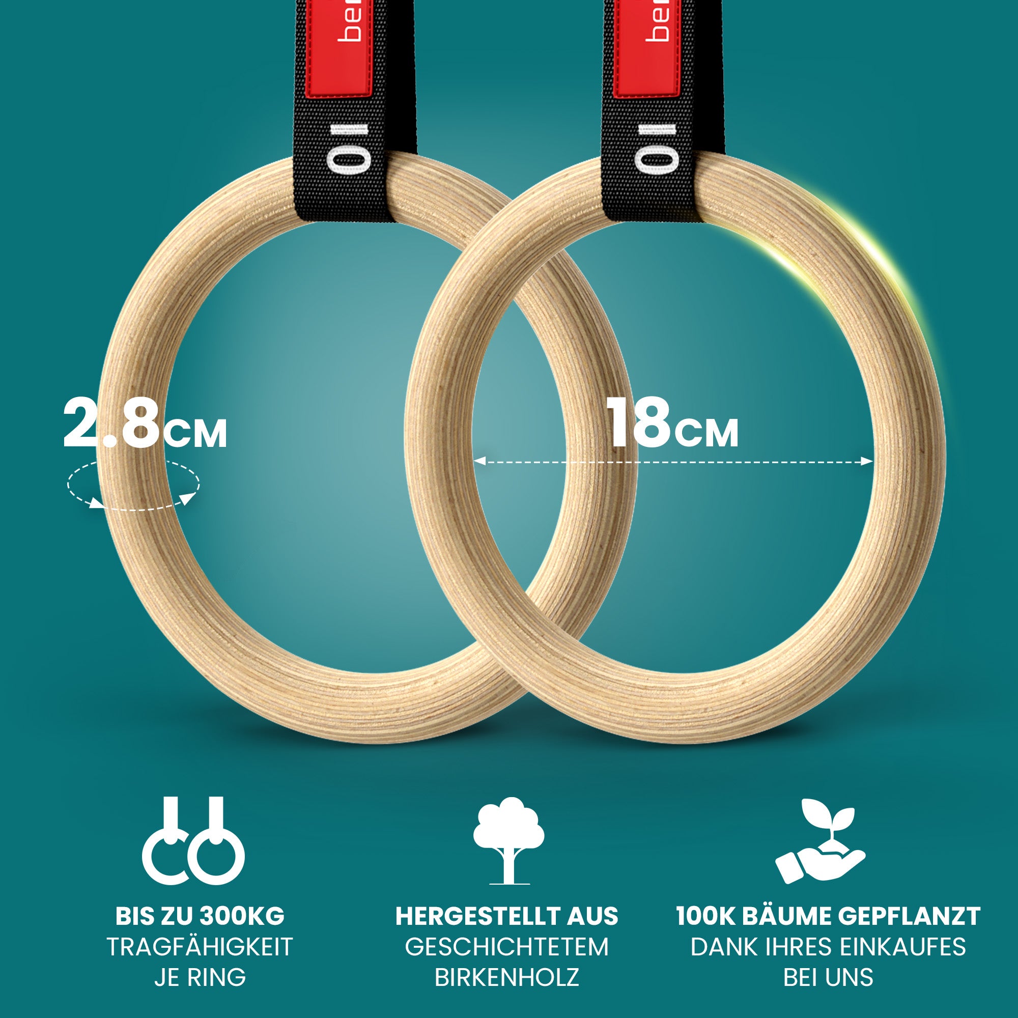 bemaxx Gym Rings – 2,8 cm Griff, 18 cm Durchmesser, bis 300 kg tragfähig, aus Birkenholz, mit Baumpflanzung.