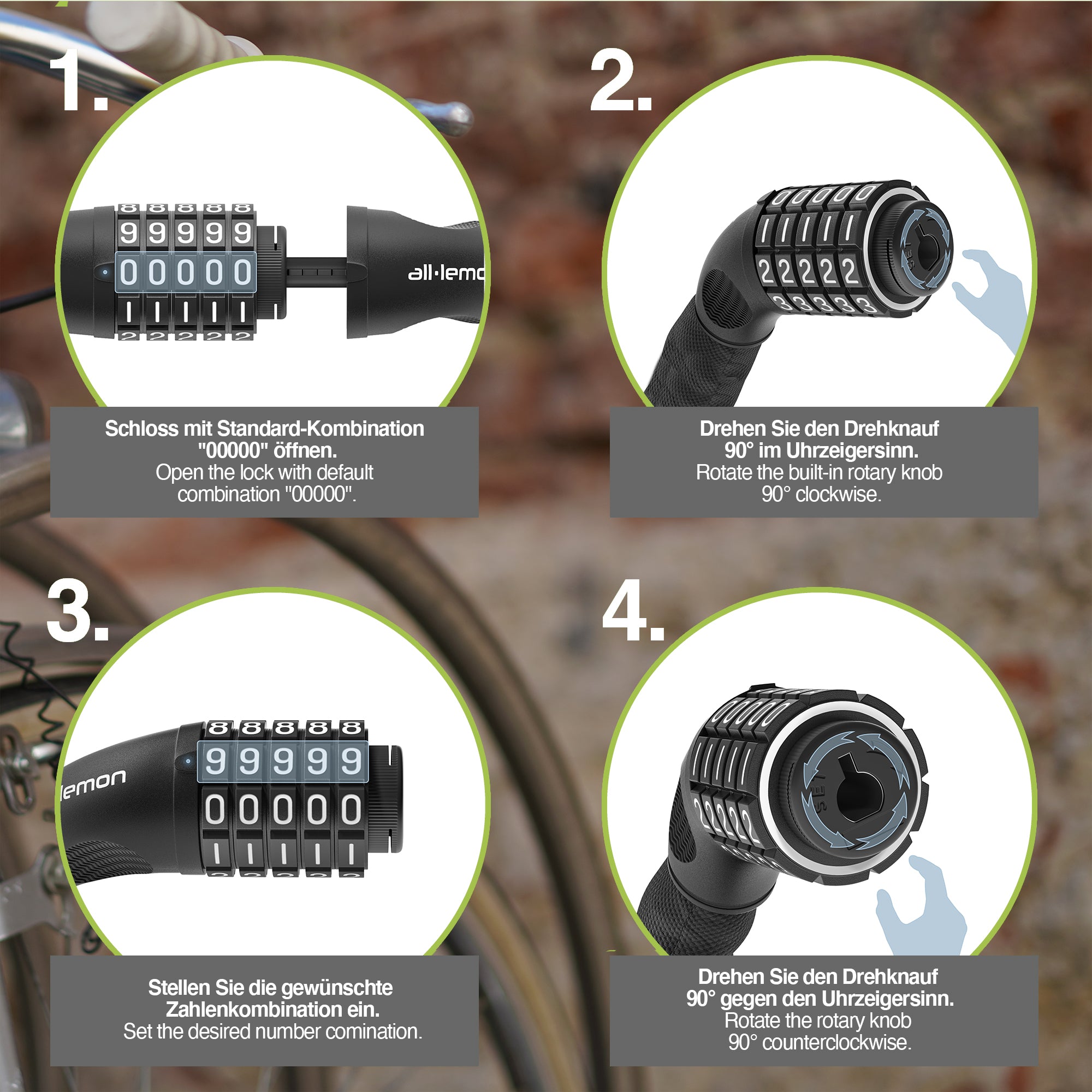 All Lemon | Bike Locks
